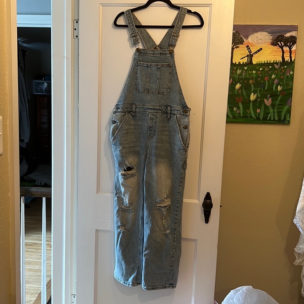 Wild fable overalls